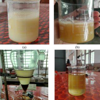 Production of PSB; a CPS; b palm stearin mixed with sodium methoxide; c... | Download Scientific ...