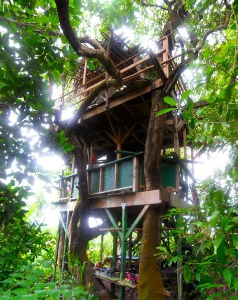 Tree Houses in Beautiful Maui, Hawaii near Hana. | Tree house, Cool ...