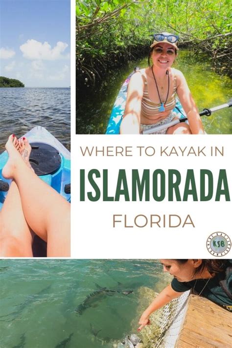 How To Go Mangrove Kayaking In Islamorada + Spend A Day At Robbie's