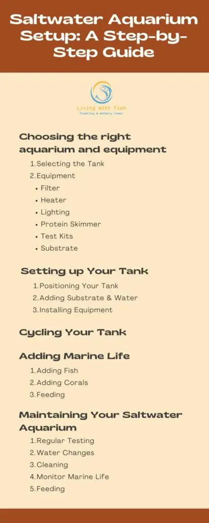 Saltwater Aquarium Setup: A Step-by-Step Guide - Living with Fish