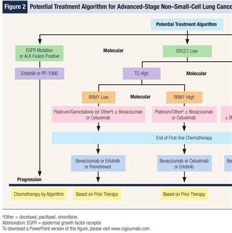 Radiation For Non Small Cell Lung Cancer - CancerWalls