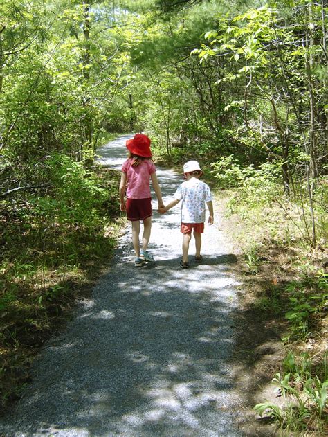 Brother & sister holding hands 1 Free Photo Download | FreeImages