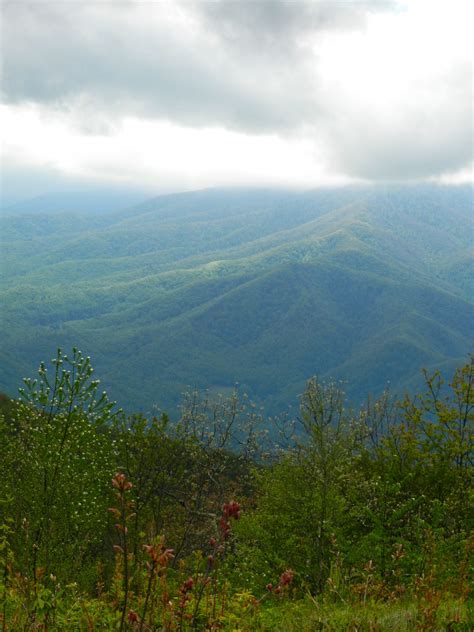 Hiking the Appalachian Trail - The Barefoot Beat