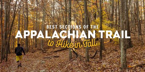 Best Sections of the Appalachian Trail to Hike in the Fall