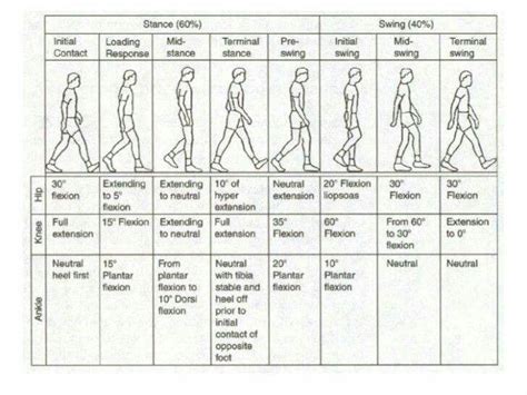 Gait analysis | Physical therapy assistant, Physical therapy school ...