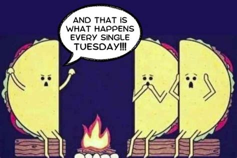 The Best Taco Tuesday Memes for Taco Lovers - Lola Lambchops