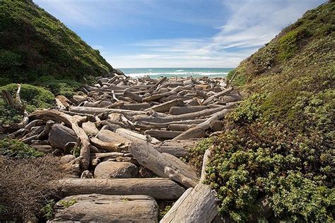 andrew molera state park camping | State park camping, State parks, California vacation