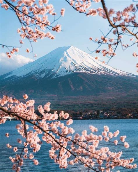 Mt.Fuji looks breathtaking 🏔🌸😍 | Japan landscape, Pretty landscapes ...