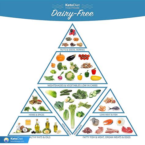 Guide To Dairy-Free Keto Diet: How to Follow a Low-Carb Diet Without Dairy | KetoDiet Blog