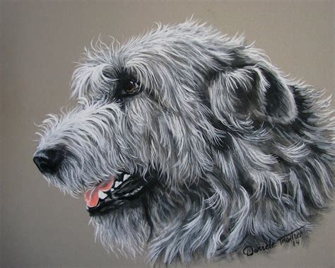 Irish Wolfhound Painting by Daniele Trottier - Pixels