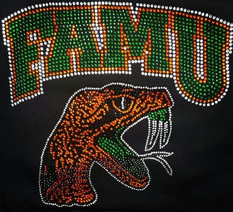 17 Best images about FAMU on Pinterest | Marching bands, Orlando and Rhinestones