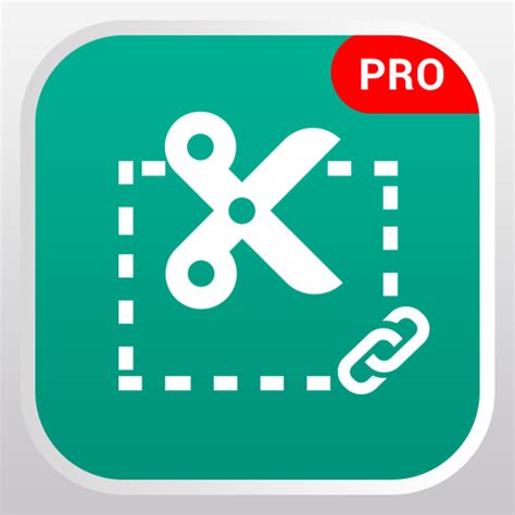 Snipping tool - Pro - Apps on Google Play