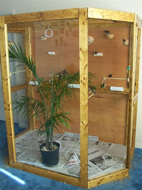 My indoor aviary - I actually think this is a picture of the aviary Randy and Karoline built ...