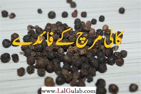 Black Pepper Benefits Urdu Kali Mirch Ke Faide Hindi Kali Mirch Ke Fawaid For Cough - Urdu Hindi