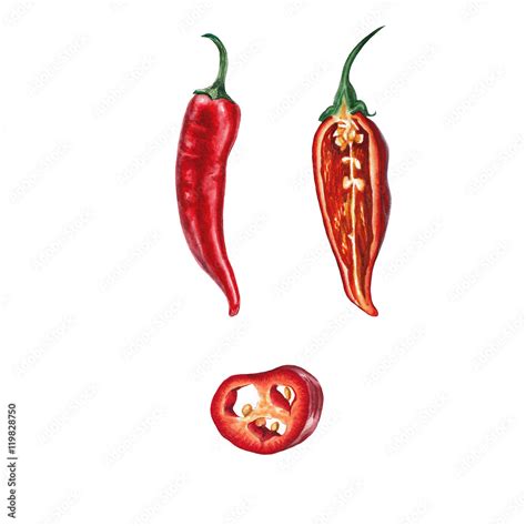 Watercolor chili pepper set Stock Illustration | Adobe Stock