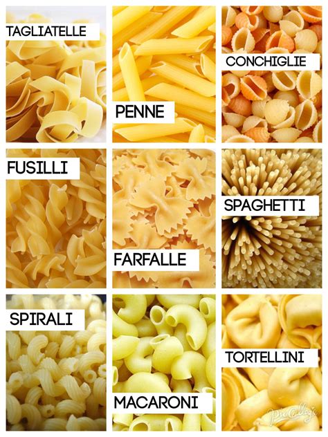 Types Of Macaroni - Mushroom Tagliatelle