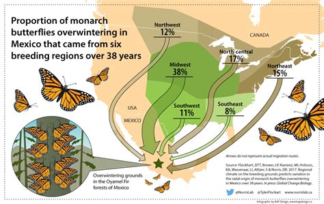 Monarch Butterfly Migration News