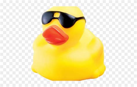 Duck Sunglasses | ubicaciondepersonas.cdmx.gob.mx