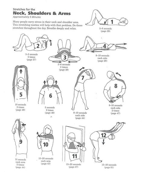 Neck Exercises, Body Stretches, Stretching Exercises, Golf Stretching, Dynamic Stretching ...