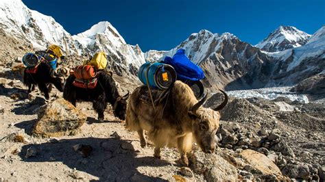 Khumbu Adventure Tours - Journeys International