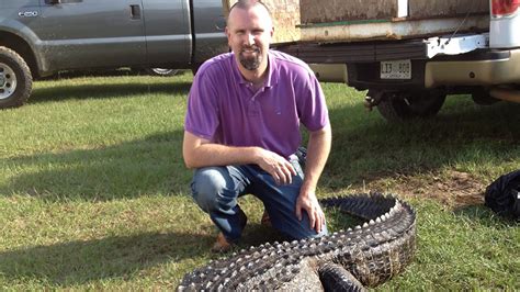 What conditions, challenges could alligator hunters expect this season