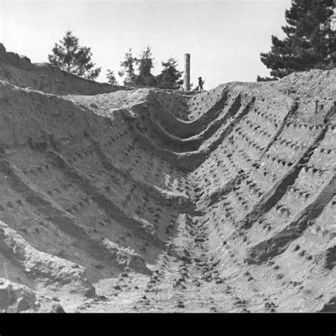 Sutton Hoo: Anglo-Saxon ship burial - Google Cultural Institute | Anglo saxon, Sutton hoo, Saxon