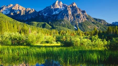 Mountain greenery - Mountains & Nature Background Wallpapers on Desktop ...