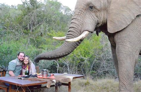 Addo Elephant National Park - South Africa Malaria-free Reserves
