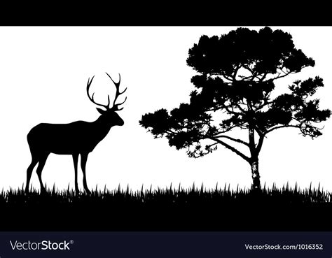 Silhouette of deer and tree Royalty Free Vector Image