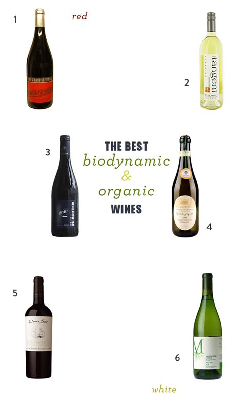 The Best Biodynamic and Organic Wine Brands | Feed Me Phoebe