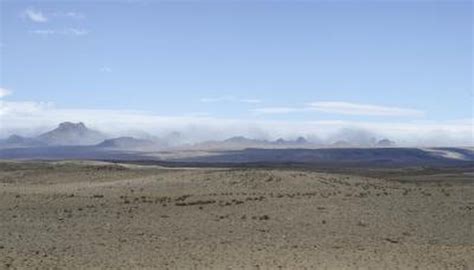 How Do Desert Plants Adapt to Their Environment? | Sciencing