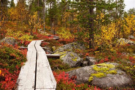 The Most Epic Autumn One Could Witness in Lapland, Finland : r/pics