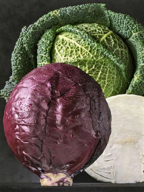 Discover 10 Cabbage Varieties & Their Exciting Uses! - Salads with ...