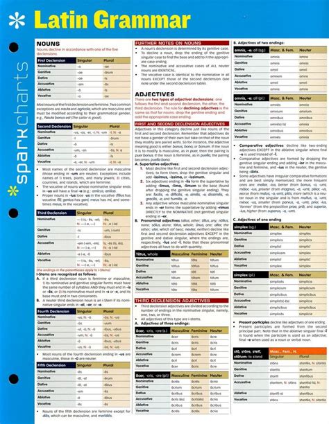 Latin Grammar SparkCharts | Latin grammar, Learn portuguese, Latin ...