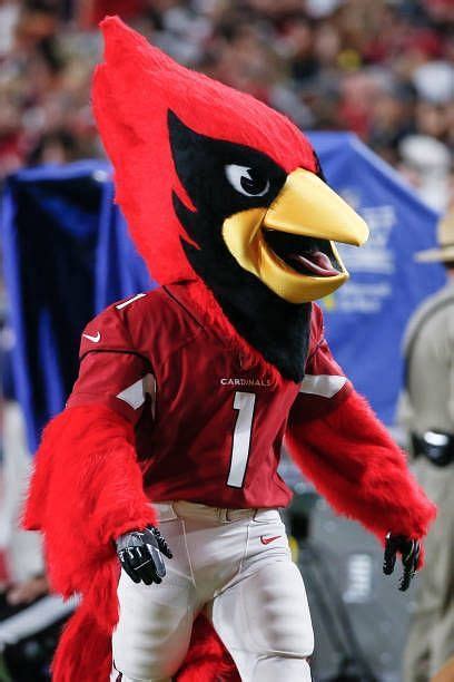 What is the Arizona Cardinals Mascot Big Red Salary?