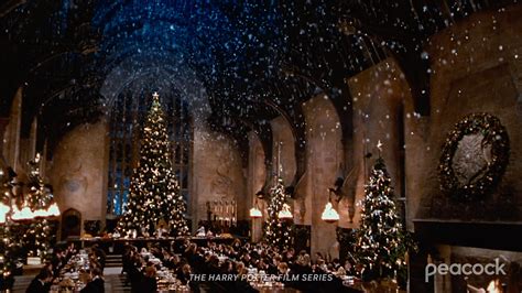 Harry Potter Christmas Wallpapers on WallpaperDog