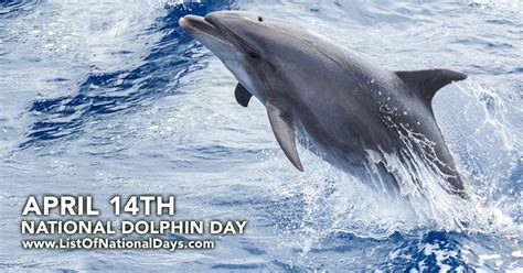 NATIONAL DOLPHIN DAY - List Of National Days