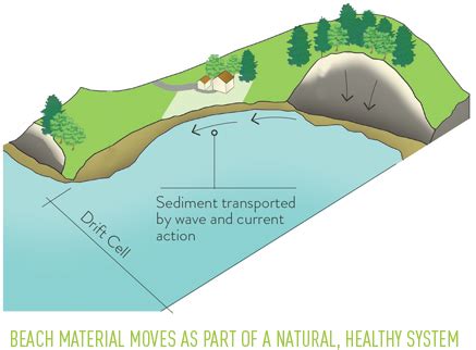 Erosion On Beaches | Shore Friendly