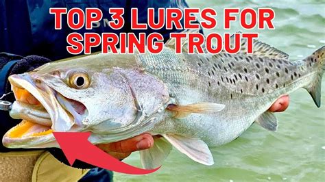 Top 3 Spring Lures For Speckled Trout [Plus A BONUS Secret Lure] - YouTube