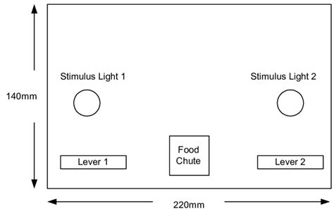 1 Skinner Box Components | Download Scientific Diagram