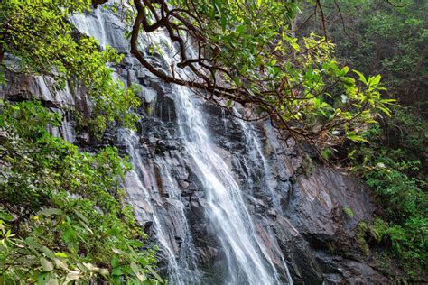 Pachmarhi In Monsoon: Time To Experience The Vibrant Colors Of Satpura