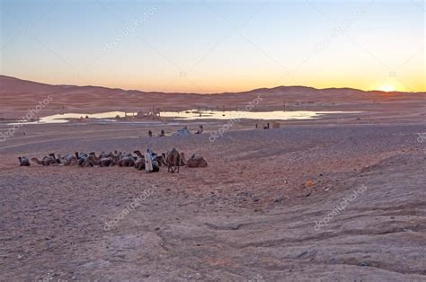 Bedouin camp in Sahara desert in Morocco, Africa Stock Photo by ...