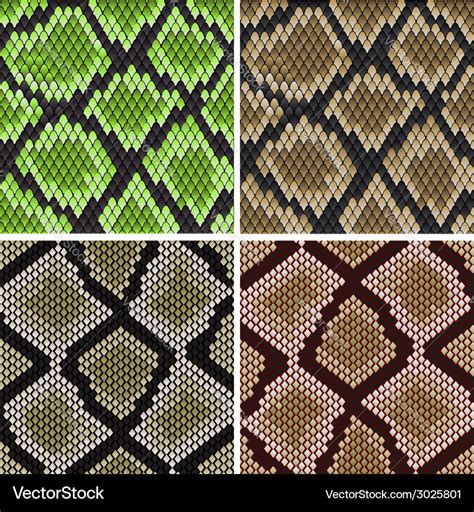 Seamless snake skin patterns Royalty Free Vector Image