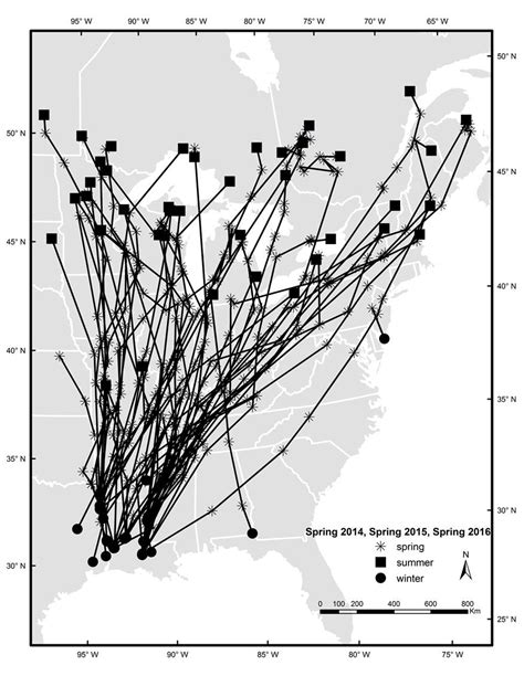 Migratory phenology and patterns of American woodcock in central North America | Wildlife Biology