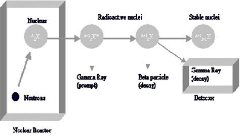 1 Principle of Neutron Activation Analysis, | Download Scientific Diagram