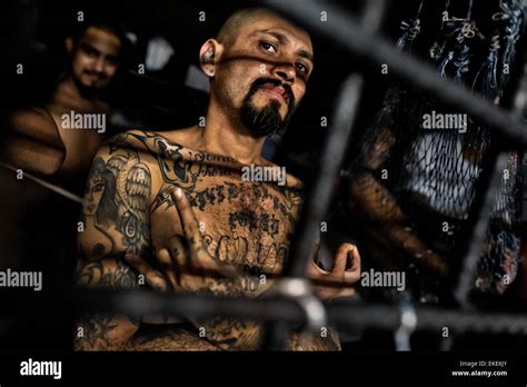 A local leader of the Mara Salvatrucha gang shows a hand sign in a cell at the detention center ...