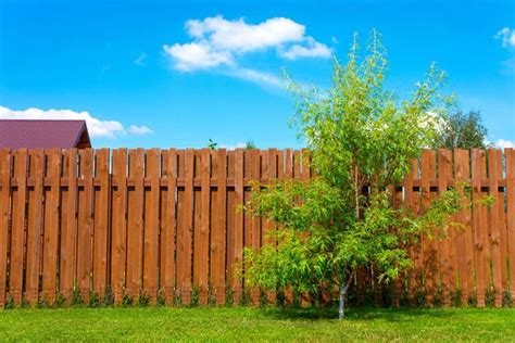 Fence Stain vs Paint (Pros and Cons & Design Guide)