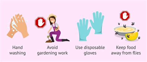 Hygienic measures against toxoplasmosis