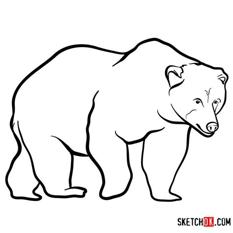 How to draw a Brown bear | Wild Animals | Wild animals drawing, Animal ...