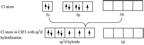 What is the hybridization of the chlorine atom in ClF3 molecule?